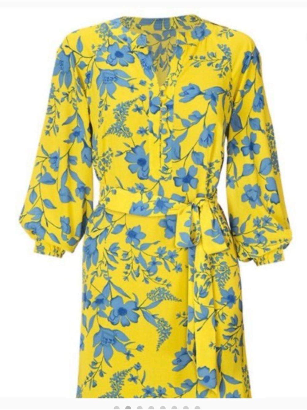 CAbi Yellow Dress with Blue Floral Print
